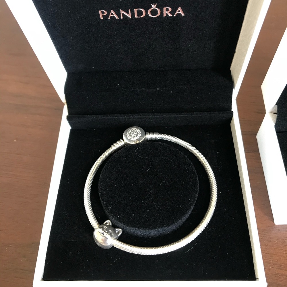 Pandora Bracelet (charm not included)